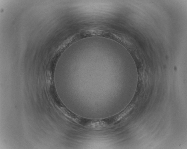 X0000074290752200609151916