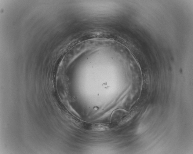 X0000074290754200609151916