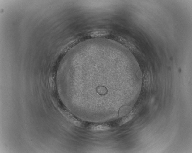 X0000074290755200609151917