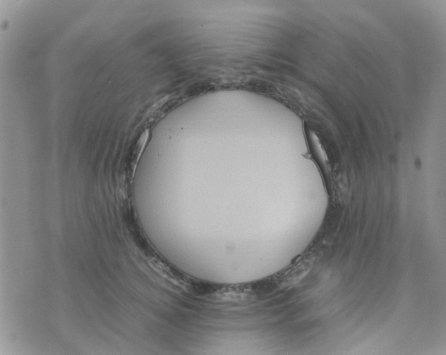 X0000074290756200609151917