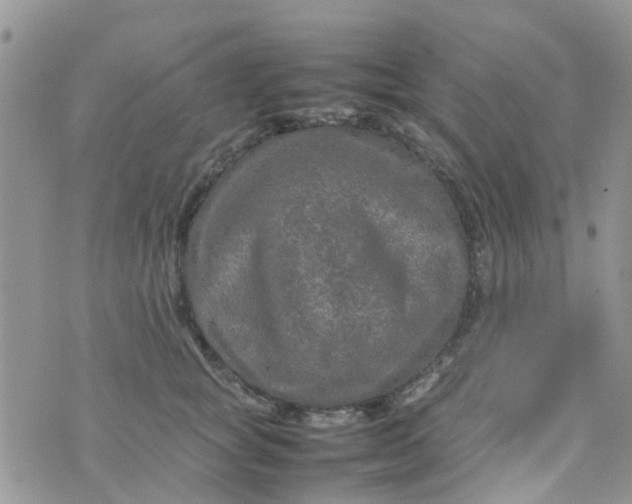 X0000074290757200609151917