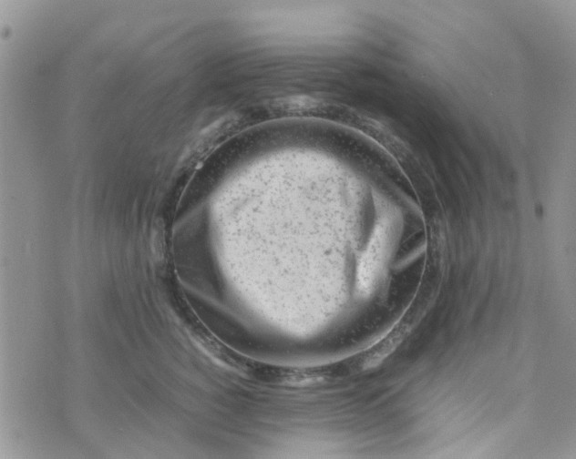 X0000074290760200609151917