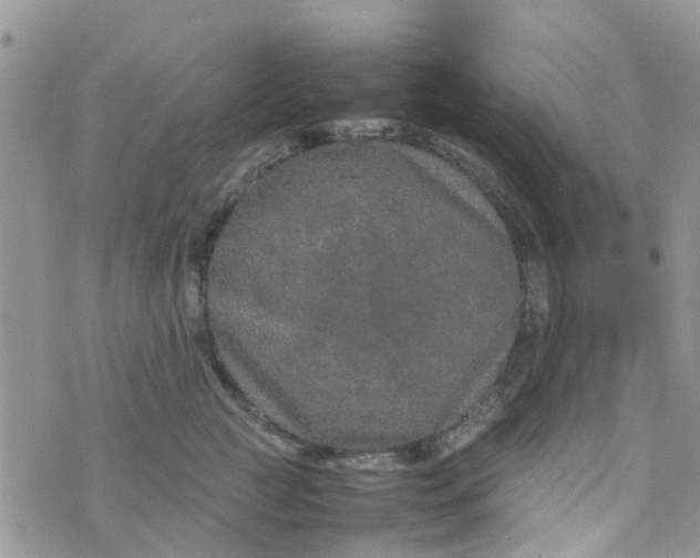 X0000074290761200609151917