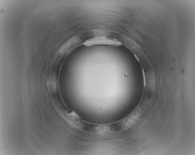 X0000074290762200609151917