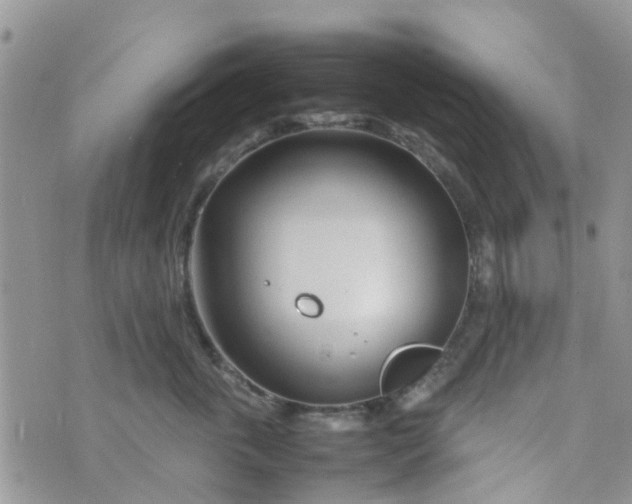 X0000074290763200609151917