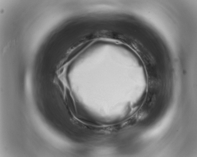 X0000074290765200609151917