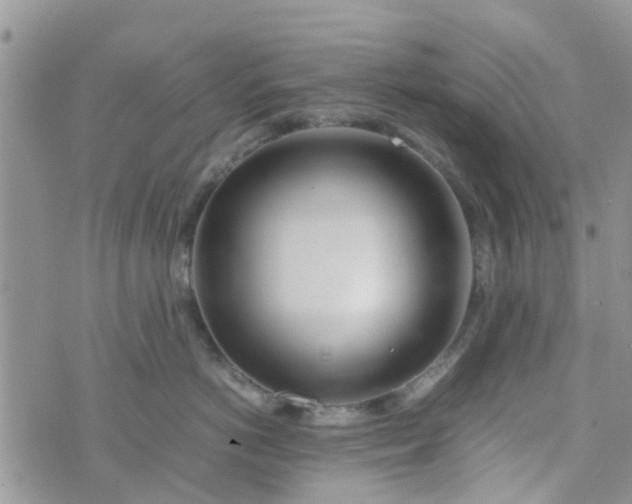 X0000074290766200609151917