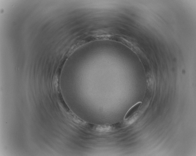 X0000074290767200609151917