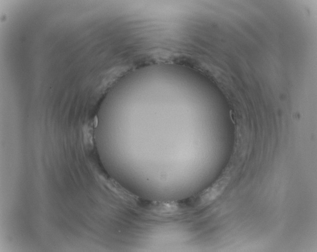 X0000074290768200609151917