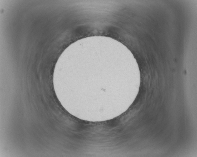 X0000074290769200609151916