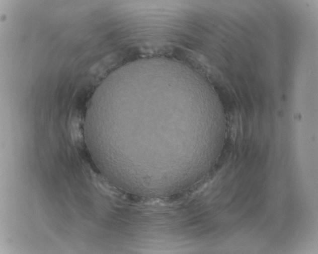 X0000074290770200609151916