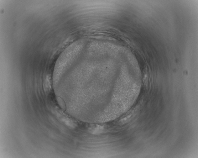 X0000074290772200609151916