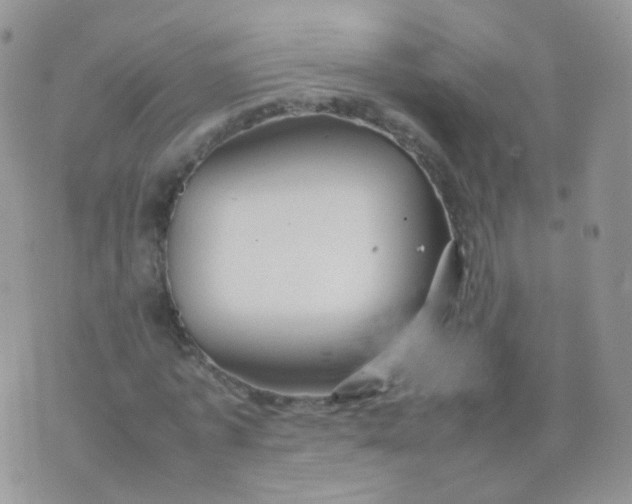 X0000074290773200609151916