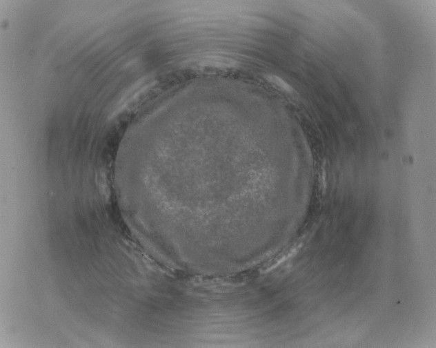 X0000074290774200609151916