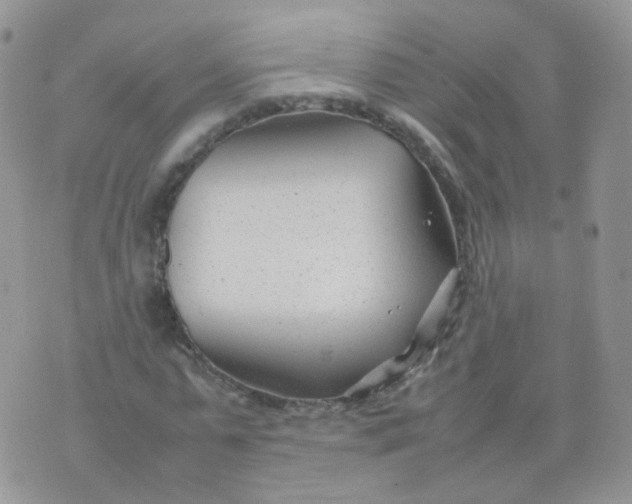 X0000074290775200609151916