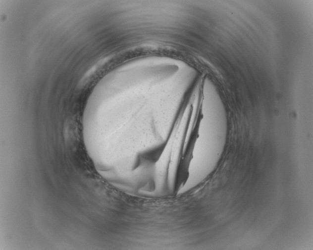 X0000074290776200609151916