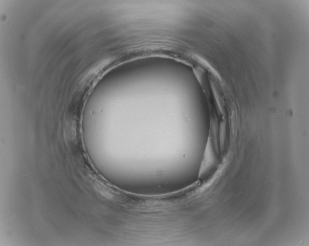 X0000074290777200609151916