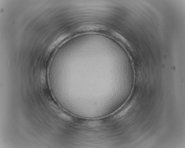 X0000074290778200609151916