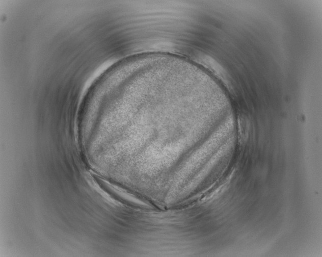 X0000074290780200609151916