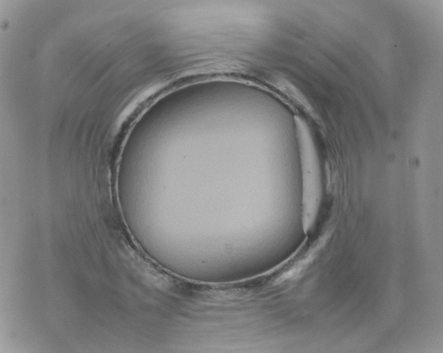 X0000074290781200609151916