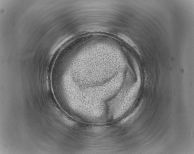 X0000074290782200609151916