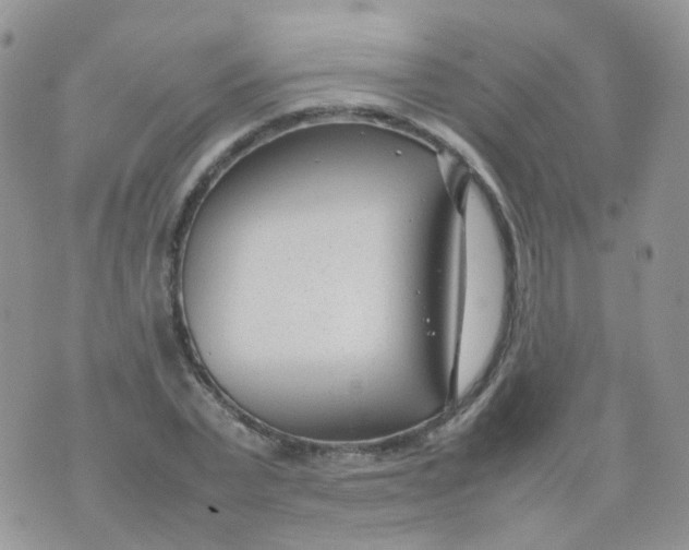 X0000074290783200609151916