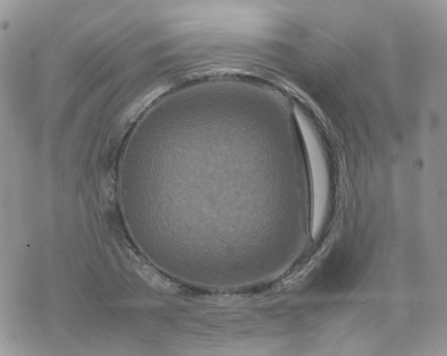 X0000074290785200609151916