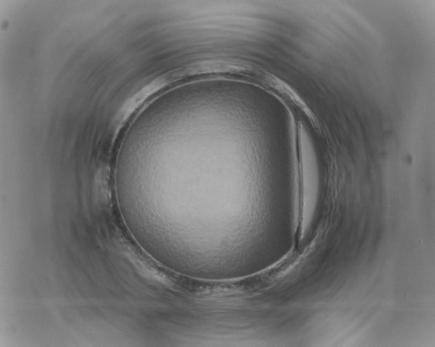 X0000074290786200609151916