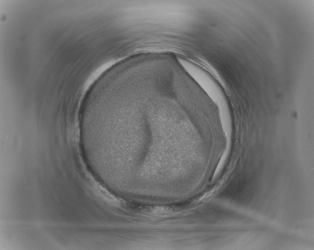 X0000074290787200609151916