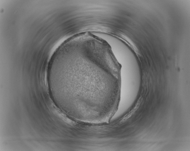 X0000074290788200609151916