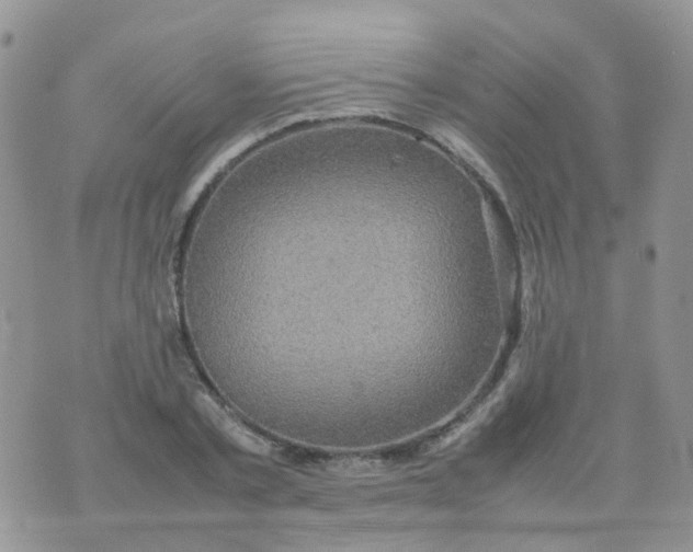 X0000074290789200609151916