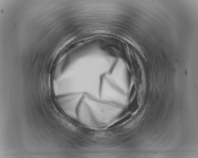 X0000074290790200609151916