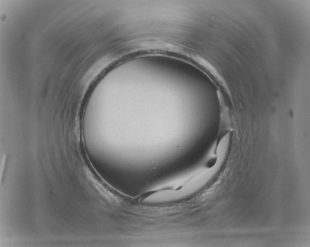 X0000074290791200609151916