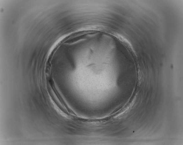 X0000074290792200609151916