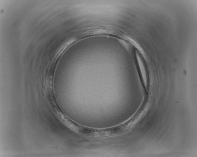 X0000074290793200609151916