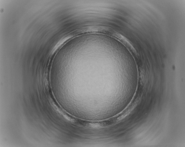 X0000074290794200609151916