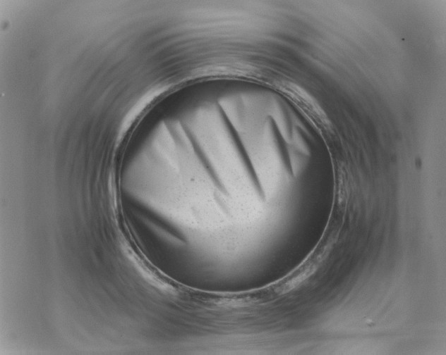 X0000074290796200609151915