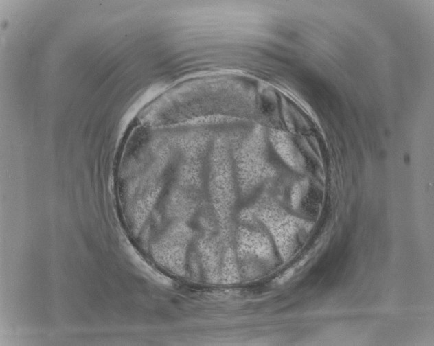 X0000074290797200609151915