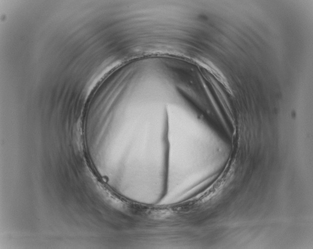 X0000074290798200609151915