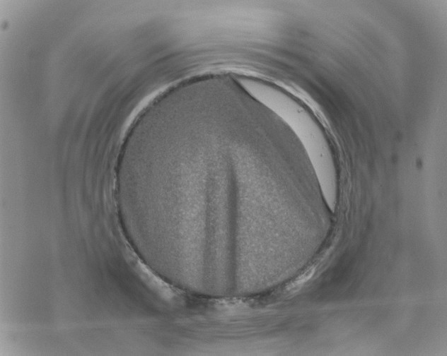 X0000074290799200609151915