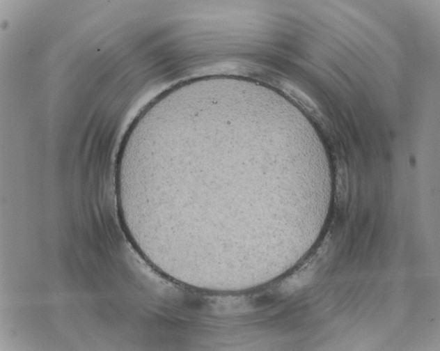 X0000074290800200609151915