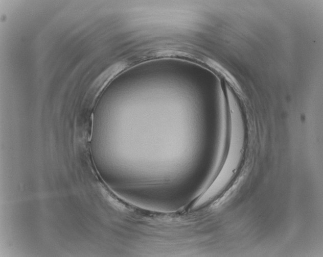 X0000074290801200609151915