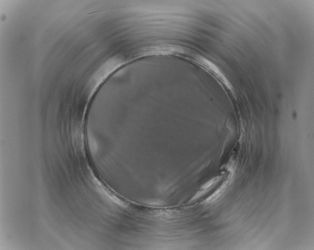 X0000074290802200609151915