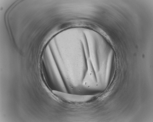 X0000074290803200609151915