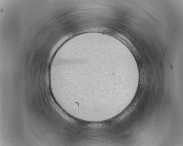 X0000074290804200609151915