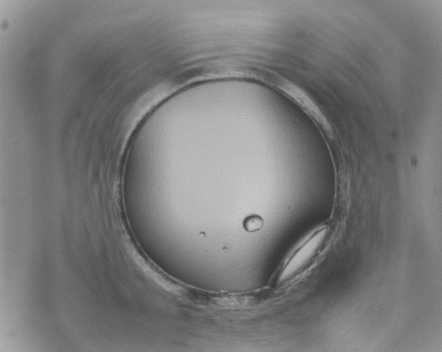 X0000074290805200609151915