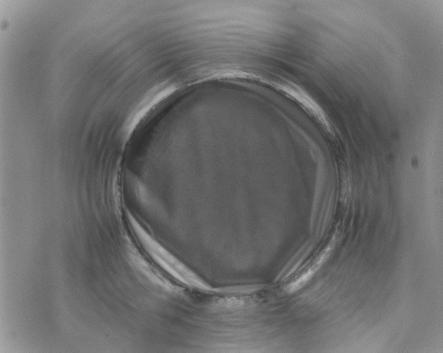 X0000074290806200609151915