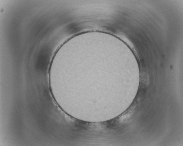 X0000074290807200609151915