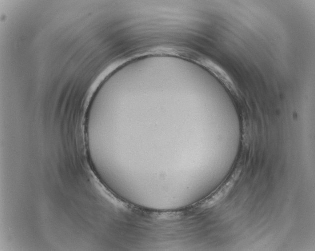 X0000074290808200609151915