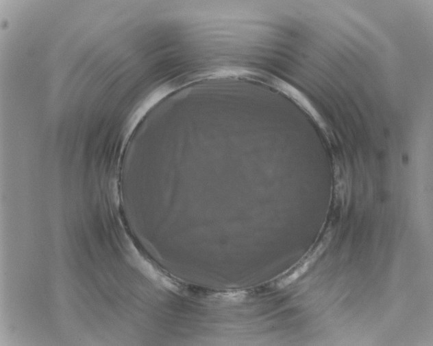 X0000074290810200609151915